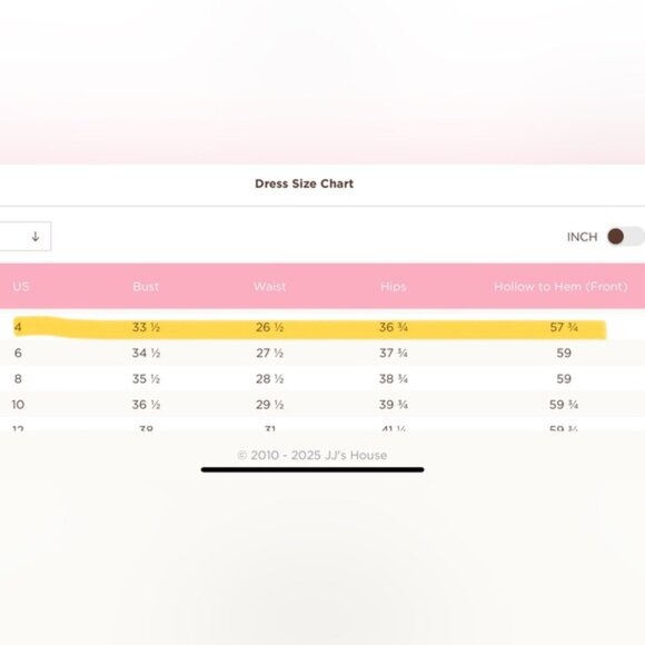 NWT JJ’s House A-line Ruffle Tie-Back Chiffon Maxi Dress in Cinnamon Rose | 4 - Picture 6 of 6